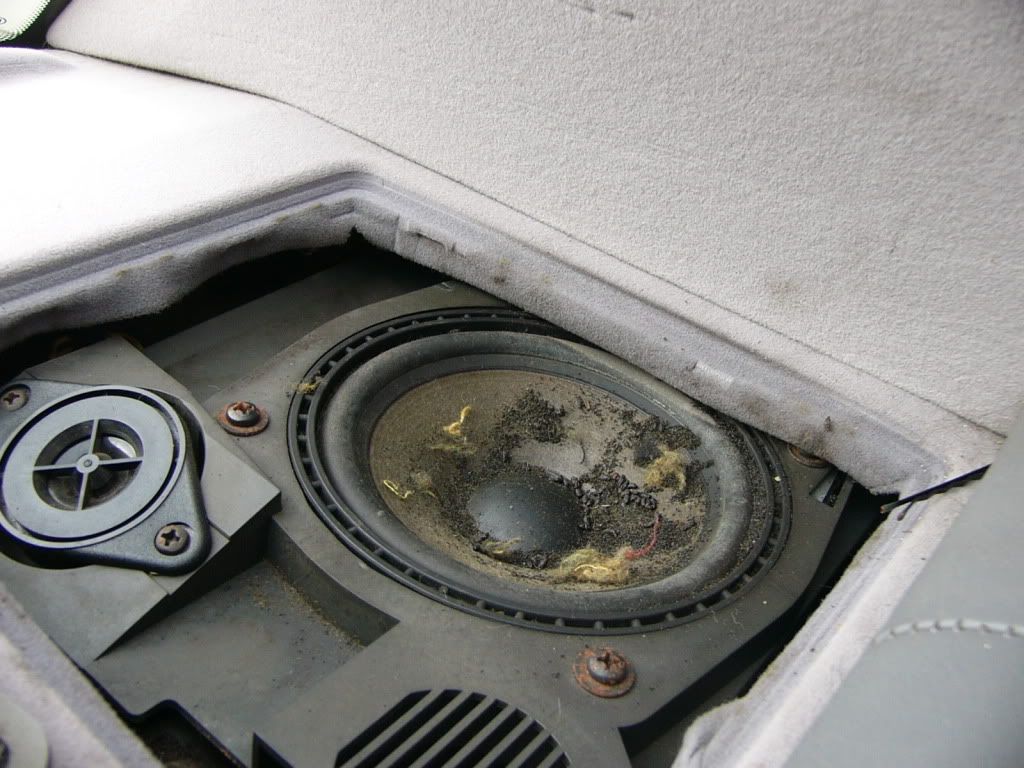 Found Rear Speaker rattle